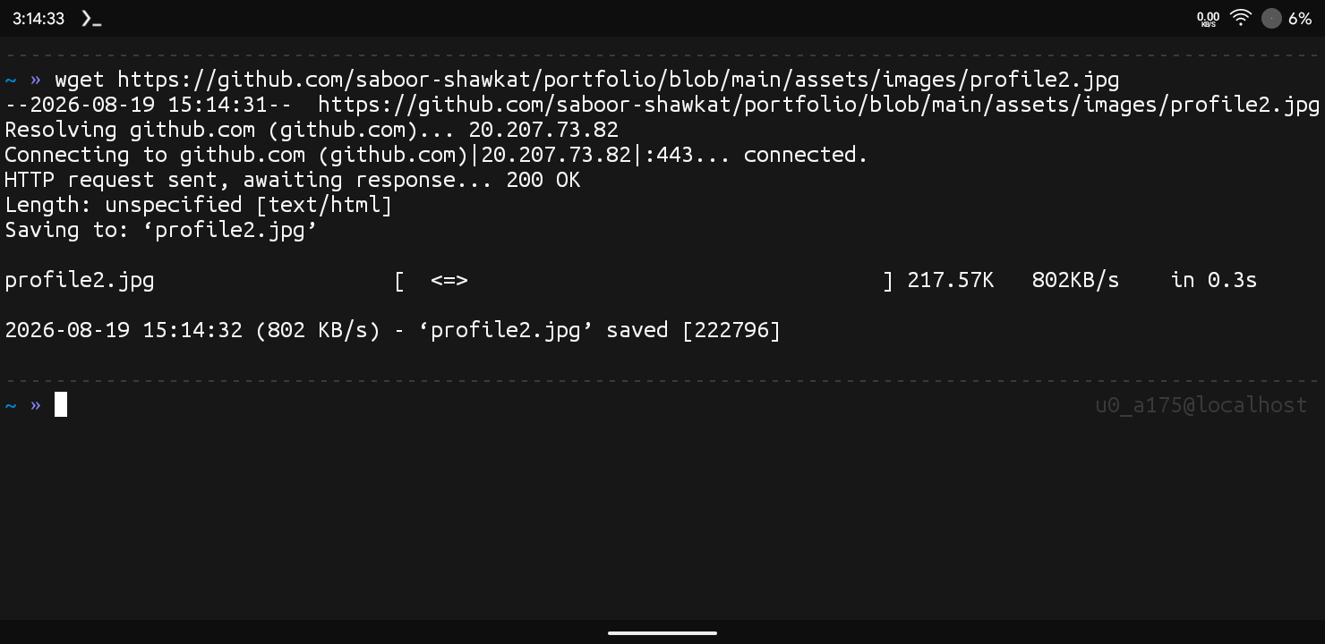 Download Using Wget